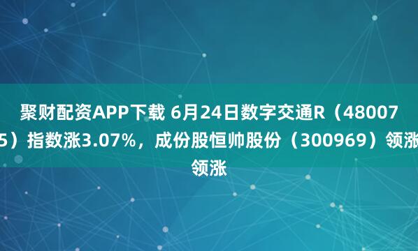 聚财配资APP下载 6月24日数字交通R（480075）指数涨3.07%，成份股恒帅股份（300969）领涨