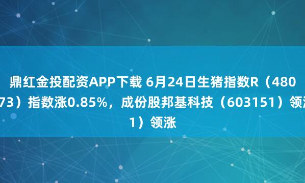鼎红金投配资APP下载 6月24日生猪指数R（480073）指数涨0.85%，成份股邦基科技（603151）领涨