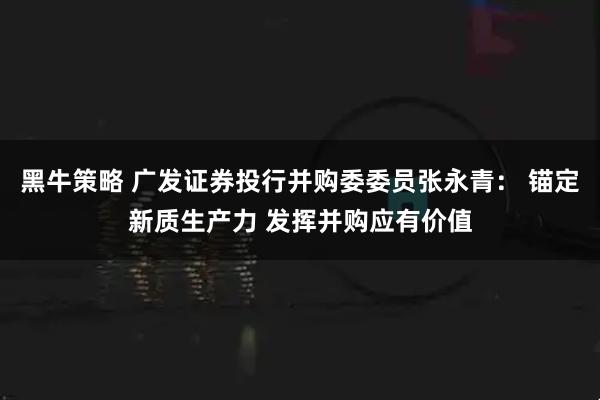 黑牛策略 广发证券投行并购委委员张永青： 锚定新质生产力 发挥并购应有价值