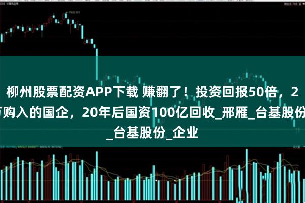 柳州股票配资APP下载 赚翻了！投资回报50倍，2000万购入的国企，20年后国资100亿回收_邢雁_台基股份_企业