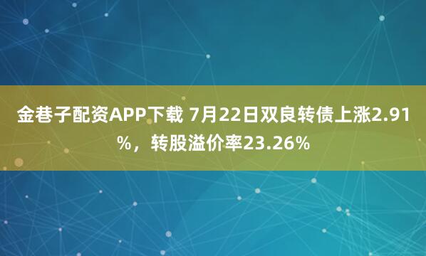金巷子配资APP下载 7月22日双良转债上涨2.91%，转股溢价率23.26%