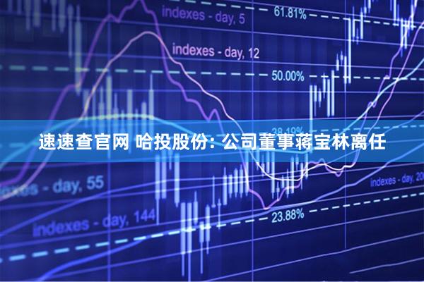 速速查官网 哈投股份: 公司董事蒋宝林离任